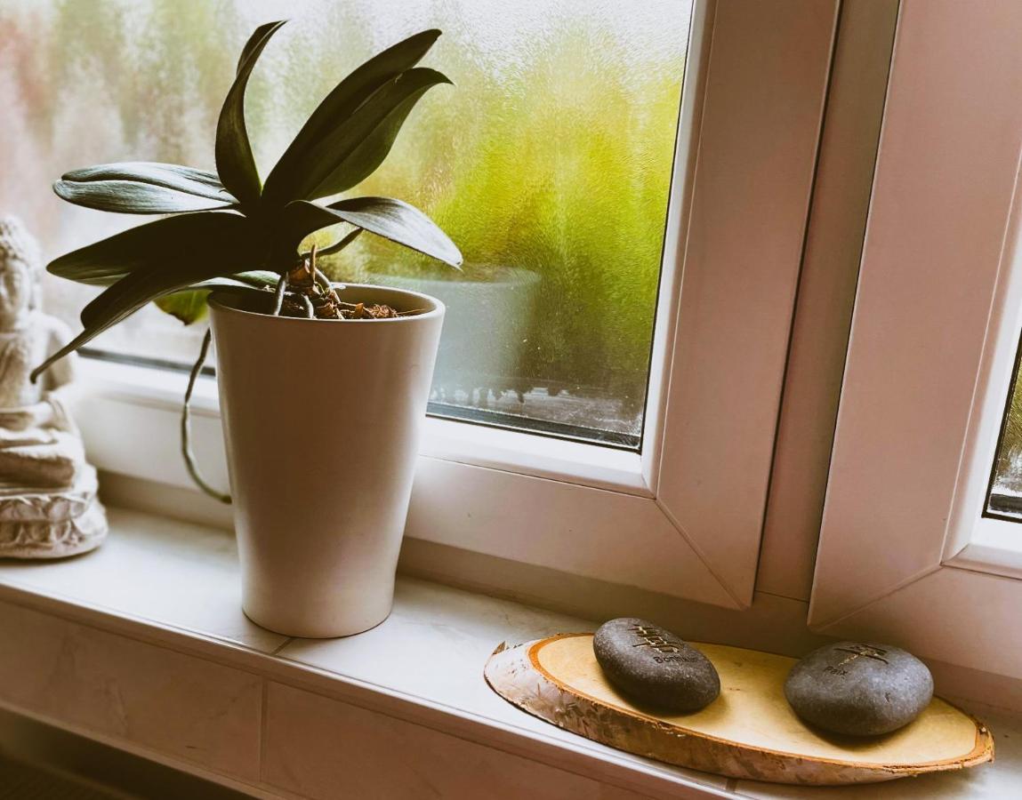 Modernes Appartement Im Gruenen - Stilvoll Und Komfortabel Colónia Exterior foto